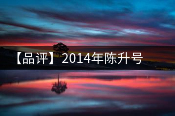 【品評】2014年陳升號道餅生茶