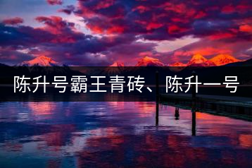 陳升號霸王青磚、陳升一號品鑒【圖】