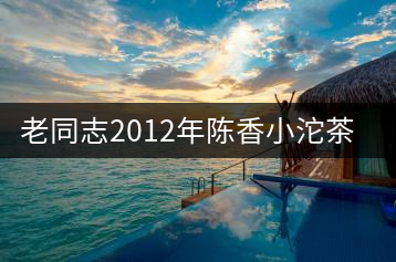 老同志2012年陳香小沱茶開湯鑒賞