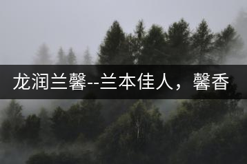 龍潤(rùn)蘭馨–蘭本佳人，馨香高雅