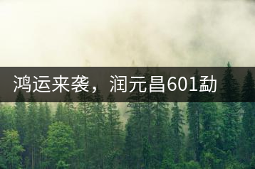 鴻運來襲，潤元昌601勐海紅韻熟茶即將上市