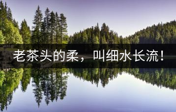老茶頭的柔，叫細(xì)水長流！