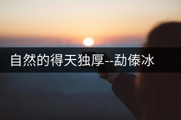 自然的得天獨厚–勐傣冰島茶魂