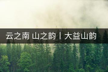 云之南 山之韻丨大益山韻，“韻”味傳奇之山韻歸來
