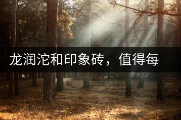 龍潤(rùn)沱和印象磚，值得每個(gè)人典藏的好味道