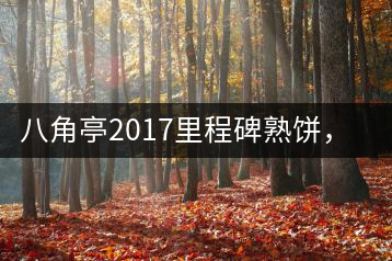 八角亭2017里程碑熟餅，自先發(fā)酵而后愛人