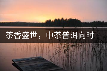 茶香盛世，中茶普洱向時代獻禮