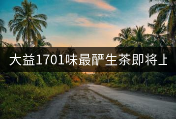 大益1701味最釅生茶即將上市！