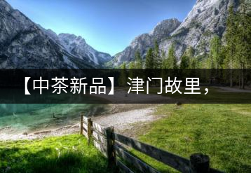 【中茶新品】津門故里，橙色風(fēng)暴