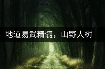 地道易武精髓，山野大樹珍品—普秀易武生態(tài)喬木圓茶即將上市