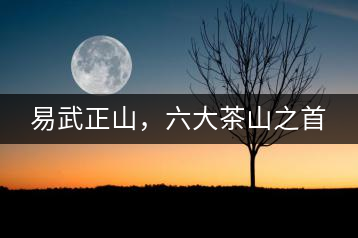 易武正山，六大茶山之首