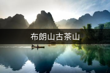 布朗山古茶山