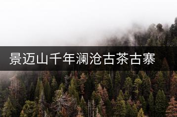 景邁山千年瀾滄古茶古寨 散發(fā)醇厚余香