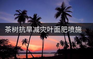 茶樹抗旱減災葉面肥噴施技術