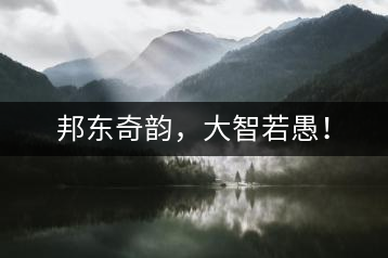 邦東奇韻，大智若愚！