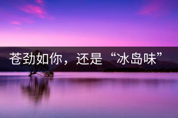 蒼勁如你，還是“冰島味”嗎？
