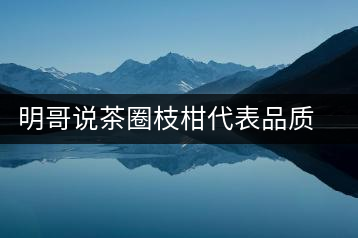 明哥說茶圈枝柑代表品質(zhì)高點(diǎn)，是玩家級(jí)的產(chǎn)品