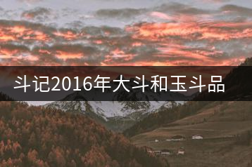 斗記2016年大斗和玉斗品鑒對(duì)比