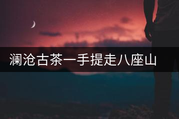 瀾滄古茶一手提走八座山（下）開(kāi)湯品鑒