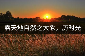 囊天地自然之大象，歷時(shí)光十載流轉(zhuǎn)-皇茶一號(hào)
