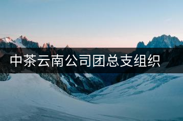中茶云南公司團(tuán)總支組織“五四”青年節(jié)活動
