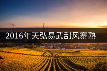 2016年天弘易武刮風(fēng)寨熟茶一泡耐人尋味！