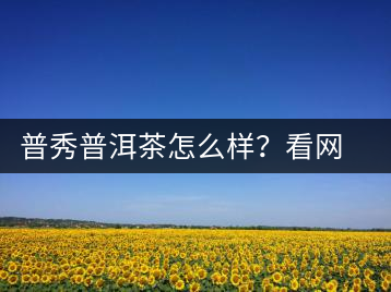 普秀普洱茶怎么樣？看網(wǎng)友精彩回答