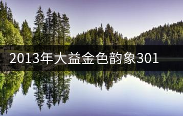 2013年大益金色韻象301批開湯