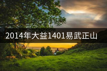 2014年大益1401易武正山開湯