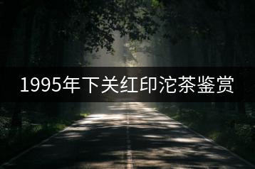 1995年下關(guān)紅印沱茶鑒賞
