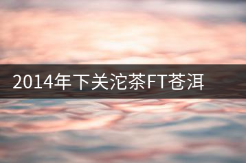 2014年下關沱茶FT蒼洱圓茶試用報告