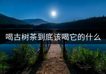 喝古樹(shù)茶到底該喝它的什么？
