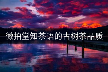 微拍堂知茶語(yǔ)的古樹(shù)茶品質(zhì)如何？