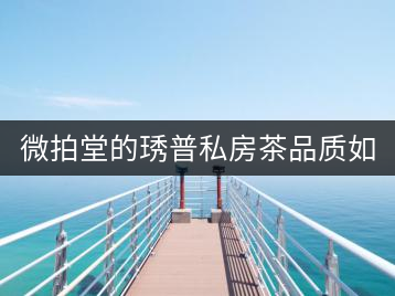 微拍堂的琇普私房茶品質(zhì)如何？