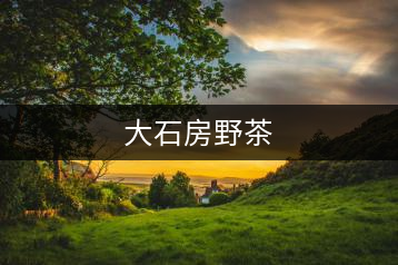 大石房野茶