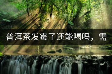 普洱茶發(fā)霉了還能喝嗎，需要怎么處理？