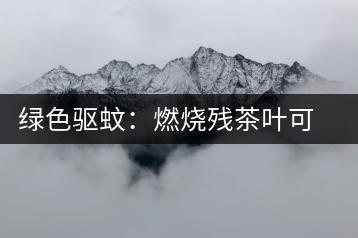 綠色驅(qū)蚊：燃燒殘茶葉可驅(qū)蚊蟲