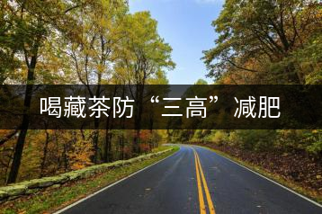喝藏茶防“三高”減肥