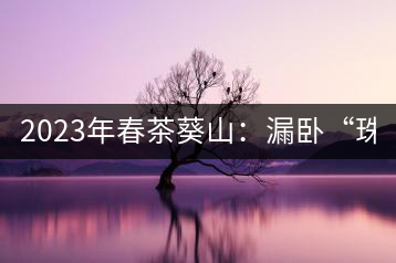 2023年春茶葵山：漏臥“珠江紅：1200元-3200元（有3個檔次）漏臥“大廠茶”：古樹單株8600-9000元／公斤，中樹4800-5200元／公斤，小樹混采2600-2800元／公斤。