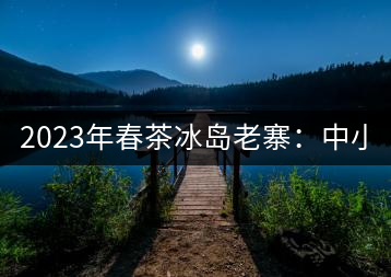 2023年春茶冰島老寨：中小樹混采2500-3000元／公斤，大樹：7000-8000元／公斤，古樹混采：28000-36000元／公斤