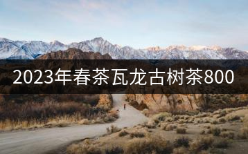 2023年春茶瓦龍古樹茶800-1500元／公斤