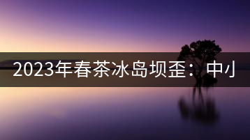2023年春茶冰島壩歪：中小樹800元／公斤，古樹1400-1600元／公斤