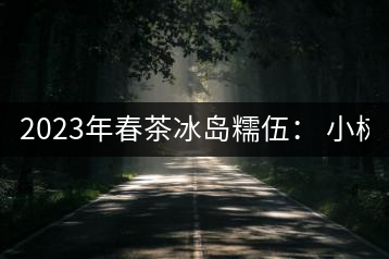 2023年春茶冰島糯伍： 小樹1300元／公斤，古樹：2100~2300元／公斤