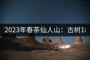 2023年春茶仙人山：古樹(shù)1800-2500元／公斤，老曼峨：小樹(shù)：600元／公斤 1600-1800元／公斤