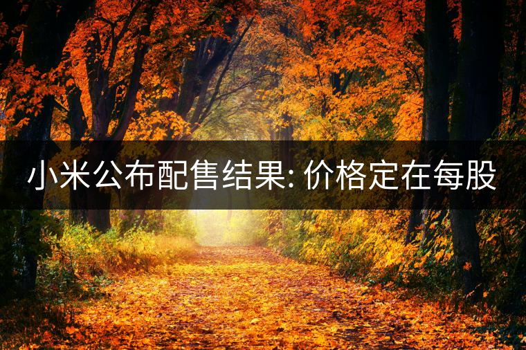 小米公布配售結(jié)果: 價(jià)格定在每股17港元