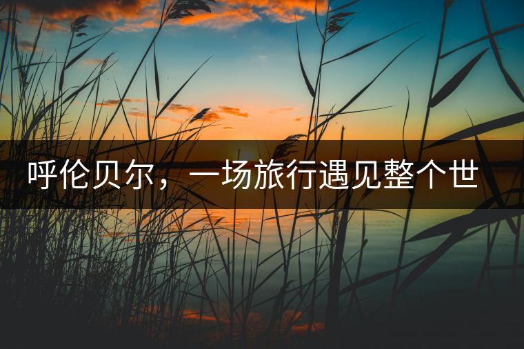 呼倫貝爾，一場旅行遇見整個世界