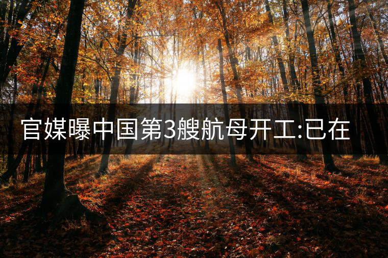 官媒曝中國第3艘航母開工:已在船臺(tái)建造 官媒曝中國第3艘航母開工:已在船臺(tái)建造