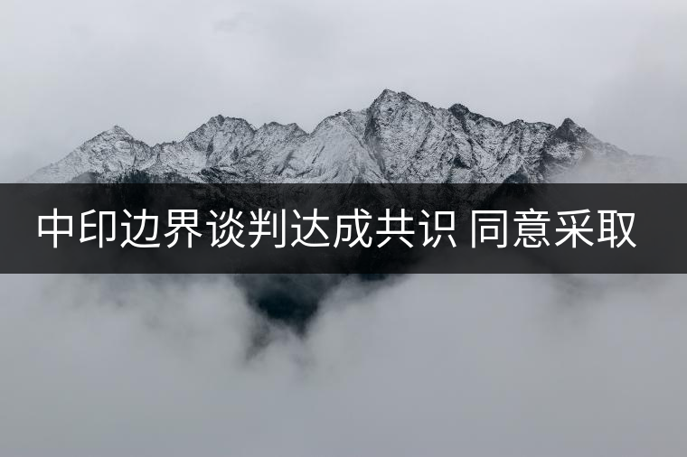 中印邊界談判達(dá)成共識(shí) 同意采取措施避免沖突