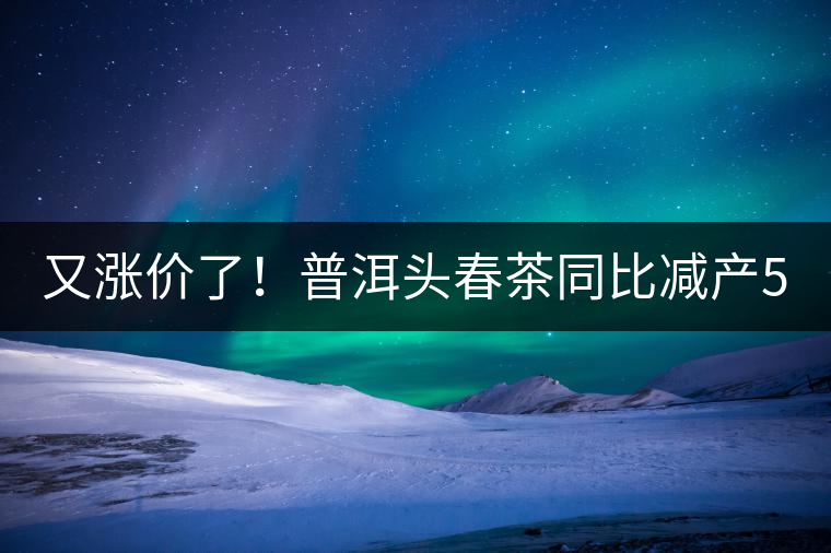 又漲價(jià)了！普洱頭春茶同比減產(chǎn)50%，薄荷塘一類鮮葉需當(dāng)面議價(jià)