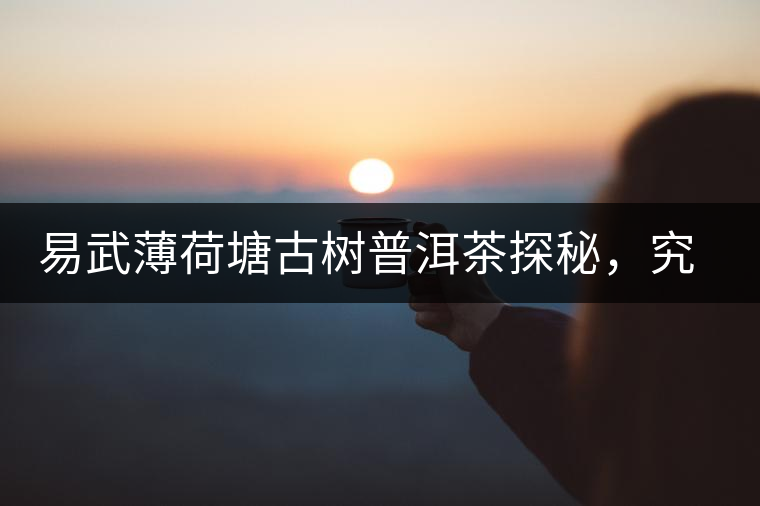 易武薄荷塘古樹(shù)普洱茶探秘，究竟有多少顆是真古樹(shù)？